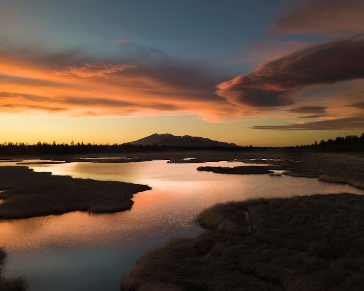 View in twilight